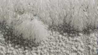 Ice Crystals Growing Time lapse [upl. by Justen]