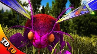 ARK LYMANTRIA BREEDING AND MUTATIONS LYMANTRIA COLOR MUTATIONS Ark Survival Breeding Evolved [upl. by Gavin]