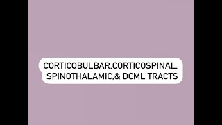 CORTICOBULBAR CORTICOSPINAL SPINOTHALAMIC AND DCML [upl. by Creighton]