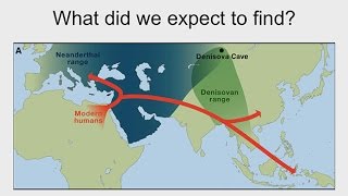 CARTA DNA – Neandertal and Denisovan Genomes Neandertal Genes in Humans Neandertal Interbreeding [upl. by Winola845]