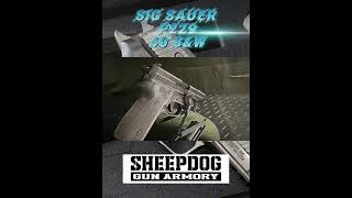 Sig Sauer ‘P229’ 375” barrel 40 cal 12 rd capacity [upl. by Anifad120]