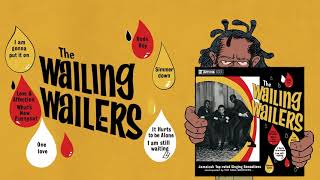 The Wailing Wailers  Vinyl Reissue from Studio One [upl. by Jenkel]