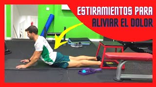 8 Ejercicios para ESTIRAR la ZONA LUMBAR ✅ Te AYUDARÁN a Aliviar el Dolor RÁPIDAMENTE 👌 [upl. by Jaquith223]