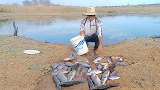 🔴SAIU UMA GRANDE QUANTIDADE DE PEIXES NESSA REPRESA [upl. by Devaney20]