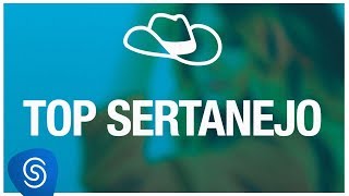 TOP SERTANEJO  Os Melhores Clipes 2019 [upl. by Haimehen]