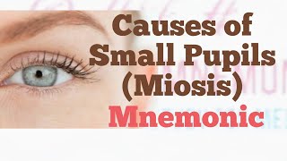 What are the Causes of Small Pupils Miosis Mnemonic [upl. by Belloir]