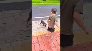 Dog Ke Sath Masti shorts funny dog [upl. by Auot236]