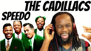 THE CADILLACS Speedo Music Reaction The 50s really had amazing music First time hearing [upl. by Akimad]