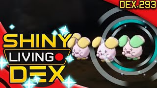 SHINY WHISMUR Live Reaction Quest For Shiny Living Dex 293  Pokemon ORAS [upl. by Ajay]