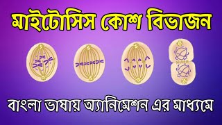 Mitosis Cell Division in Bengali [upl. by Haymo]