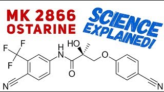 Ostarine Science Explained  Science Behind Ostarine  MK2866  SARMs  Enobosarm [upl. by Annavoig]