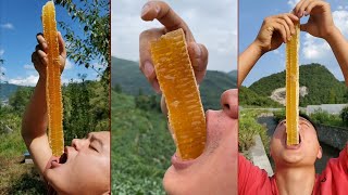 ASMR  Eating Honeycomb Mouthwatering Honey Videos Mukbank [upl. by Bayer]