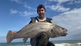 Mulloway fishing off the surf Perth beach WA [upl. by Bryanty]