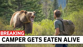 Lost Camper Hears Rustling In Bushes Only To Discover A Grizzly Bear [upl. by Pentheam]