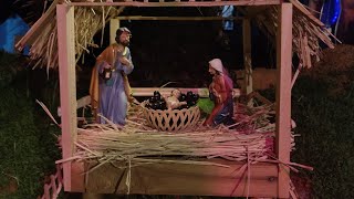 Treason Reason Season  Christmas Crib  Dominican Seminary  Mt St Dominic  Ashoknagar [upl. by Asiluy]