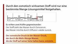 Teil 2  Die Osmose  ein Stoffaustausch der Zellen [upl. by Silverstein]