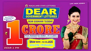 LOTTERY LIVE 1PM TODAY 12112024  Morning Nagaland Lottery Sambad LIVE [upl. by Attegroeg]