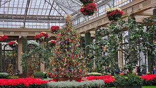 Christmas at Longwood House and Conservatory PA [upl. by Zeke929]