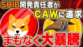 SHIB CAW【価格暴騰日確定】SHIB開発責任者クサマ氏がCAWに言及！！チャンスを掴んで離すな！！ [upl. by Suki]