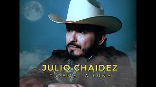 Julio Chaidez  Pídeme La Luna Video Lyrics [upl. by O'Mahony]