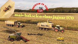 mais Kolvensilage siddeburen met claas jaguar 970 transport 4 Claas axion 850 USA 1800 CF [upl. by Miran]