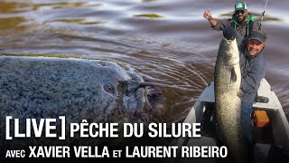 LIVE  ACTU Pêche du silure avec Xavier Vella et Laurent Ribeiro [upl. by Elleyoj]