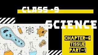 Fundamental Unit of Life Class 9 Fundamental Unit of Life Class 9 What are Living Organisms Made of [upl. by Adnolaj]