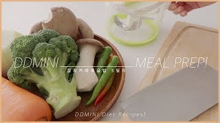 직장인 다이어터 5일치 점심 도시락 밀프렙 참치카레볶음밥 레시피  또띠아 포장법  DDMINI Diet Recipes [upl. by Aznofla781]