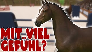 Versammelt oder doch mit Schwung🤔 🐴 Pro Show Jumping [upl. by Xanthe839]