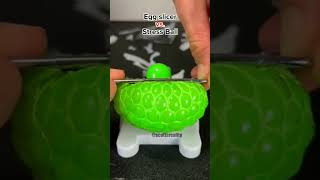 Scottsreality Egg Slicer Vs Stress Ball On In What Is Doing Angry scottsreality Fasyour Smashing [upl. by Helbonna252]