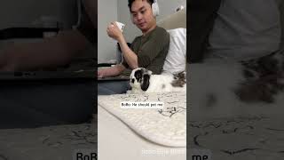 My bunny is quite vocal Part 1 🐰 [upl. by Ainimreh537]