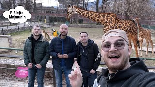 I takova shoket e ngushte ne Kopshtin ZOOLOGJIK [upl. by Clellan]