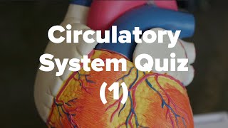 Circulatory System Quiz 1 [upl. by Froemming512]