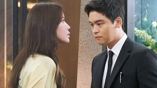 Graceful family Episode 13 Sub Indo  Drama korea [upl. by Barkley]