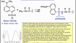 Identifying the NTerminus of a Polypeptide [upl. by Ossy762]