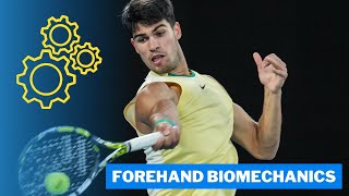 The Biomechanics Of The Carlos Alcaraz Forehand [upl. by Ketti]