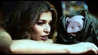 Billi Pig 2012 Official Trailer HD  Fragman [upl. by Aztiley135]