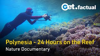 24 Hours in Polynesias Underwater Paradise  Full Documentary [upl. by Akem669]