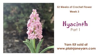 Hyacinth Part 1 [upl. by Belamy]