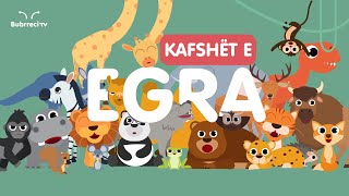 🐘 Kafshët e Egra për Fëmijë 🦧 Këngë Shqip për Fëmijë 🦁 Bubrreci TV kafshët kengeperfemije [upl. by Gaile258]