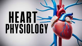 The Cardiac Cycle Simplified  What You Need to Know [upl. by Litch299]