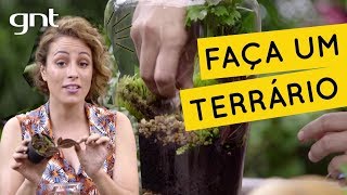 Como fazer um terrário  Jardinagem  Carol Costa [upl. by Gardia22]