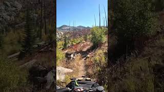 Gnarly track singletrack dualsport [upl. by Ahsinirt]