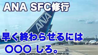 【ANA修行】国内線プレミアムクラスで楽々SFC修行 格安でプレミアムクラスに乗るには。 2024 [upl. by Rosen]