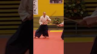 wwwaikikaisk  Slovak Aikido Association  Aikikai Slovakia [upl. by Anyg]