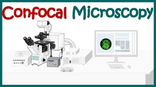 Confocal microscopy  What is the difference between confocal and fluorescence microscopy [upl. by Attwood645]