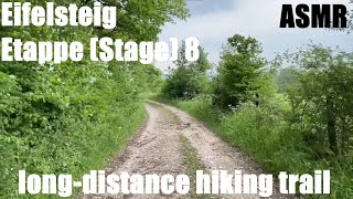 Eifelsteig Etappe 8  Natur pur  Fernwanderweg in der Eifel  longdistance hiking trail  ASMR [upl. by Peirce]