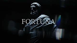 quotFortis Fortuna Adiuvatquot Motivational Video [upl. by Ennasirk]