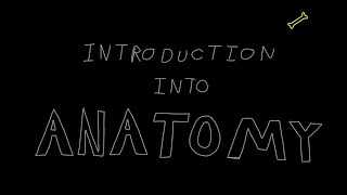 Introduction into Anatomy [upl. by Amis]