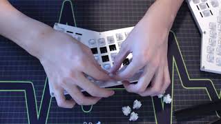 ErgoDox Wireless Lite Assembly Group Buy Round 2 [upl. by Petite]